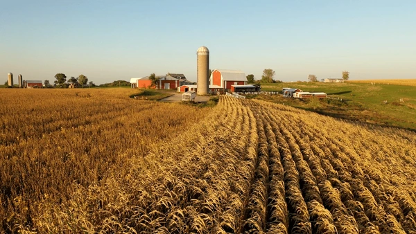 Why Hobby Farms Are Becoming More Popular in the US
